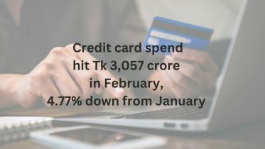 Credit card use slightly down in Feb