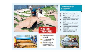 overview_of_tannery_industry.jpg
