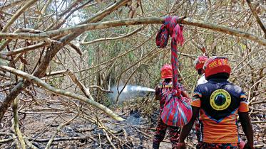committee formed to assess biodiversity loss in sundarbans fire