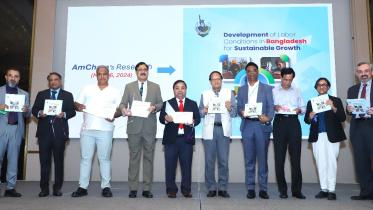 Bangladesh hardly utilising Asian regional trade potential