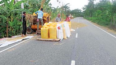 pirojpur-threshing-boro-paddyon.jpg