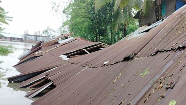 cyclone remal school