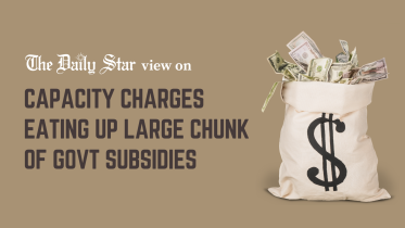 capacity charges eating up large chunk of power subsidies