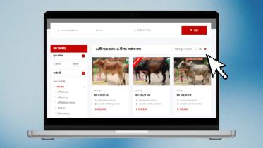 where to buy animals online