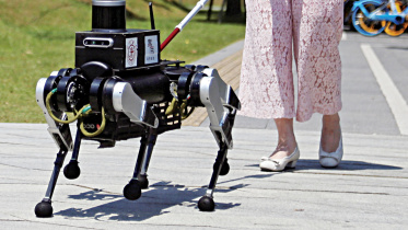 robot-dog.jpg