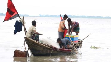 Hilsa not found in coastal rivers