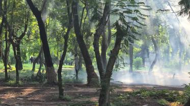 30 hurt at JU Quota protest