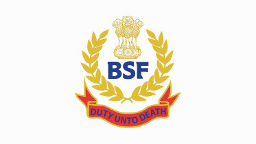bsf_logo.jpg