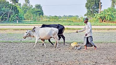 farmers-1.jpg