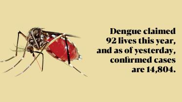 dengue-mosquto.jpg