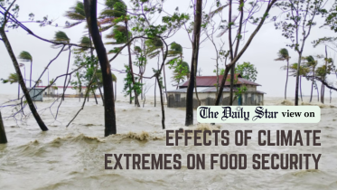 effects of climate extremes on food security