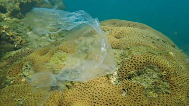 St Martin's Island tourism restrictions