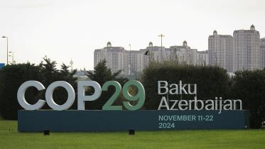 cop29.jpg