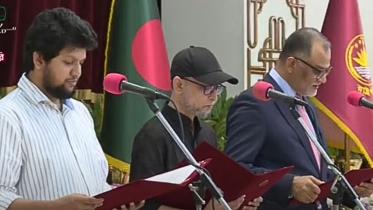 new advisers in interim government