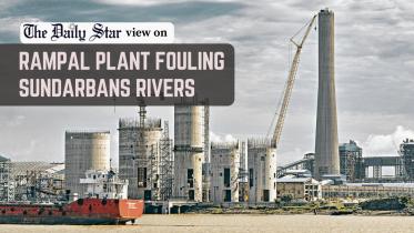 Sundarbans must be protected at all costs