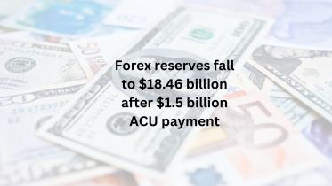 forex_reserves_1.jpg