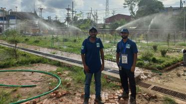 drip_irrigation_bd_ltd.jpeg