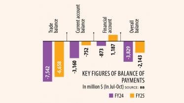 remittance-inflows-ds.jpg