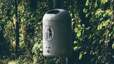 Think asking salaries is polite? Time to unlearn that and more          pexels-einfoto-3529891.jpg