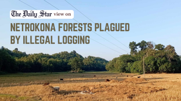 netrokona forests facing illegal logging