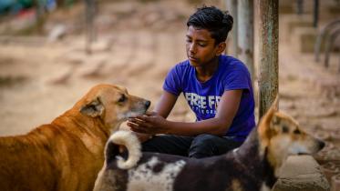 Why do we hurt helpless animals? 