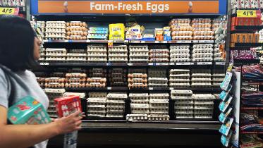 afp us egg feb13.25.jpg