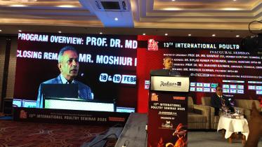 Poultry producers should focus on cutting carbon footprints: analysts