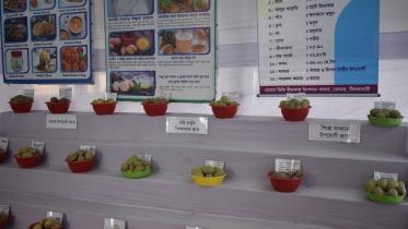 potato museum 