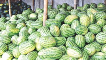watermelon-farming-ctg.jpg