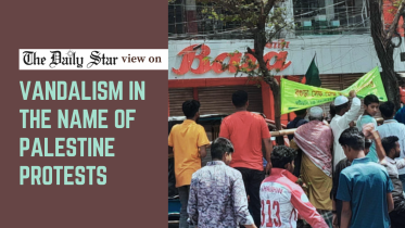 Vandalism in the Name of Palestine protests