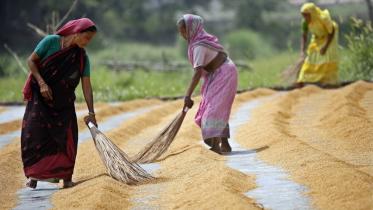 women in agriculture