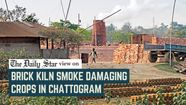 smoke from BRICK KILNS damaging crops in Chattogram