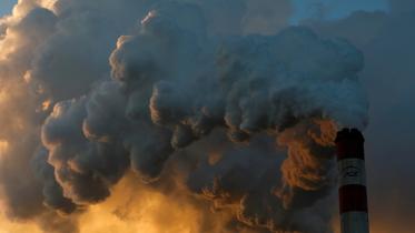 financial sector role in fighting climate change