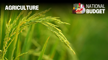 agriculture.jpg