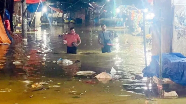 feni.png
