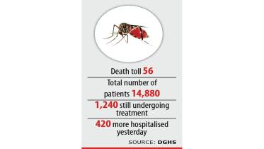 dengue.jpg