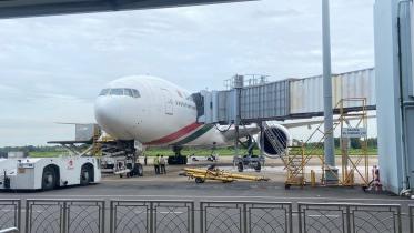 biman-glitch.jpg