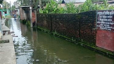 waterlogging.jpg