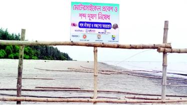 crab-turtle-conservation.jpg