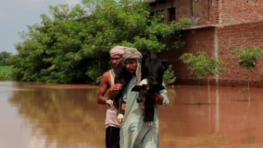 punjab_flood.jpg