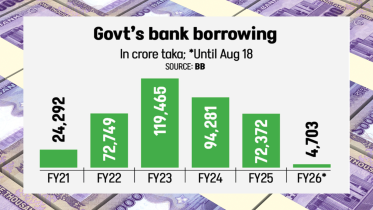 bank_borrowing.png