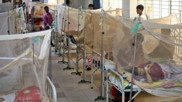 Dengue in hospital