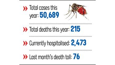 dengue-cases.jpg