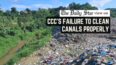 cccs_failure_to_clean_canals_properly.png
