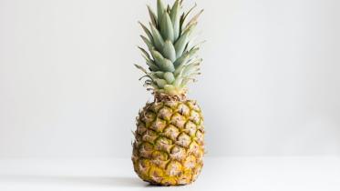 Pineapple.jpg