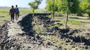 forestland-grabbed-patuakhali.jpg