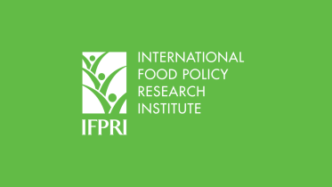 ifpri_logo_ds.png