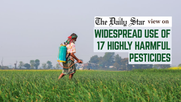harmful pesticide in Bangladesh vegetables