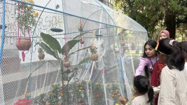 jahangirnagar butterfly fair 