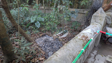 freedom fighter grave set on fire